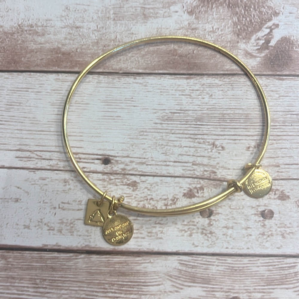 Alex & Ani Gold Tone Adventure Charm Bracelet